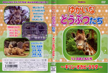 Yukaina 他们动物长颈鹿，霍加皮，骆驼-