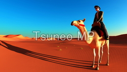 CG 插图骆驼