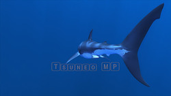 图像 CG 鲨鱼
