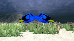Image CG Kingfish
