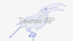 Illustration CG Toucan (wire frame)
