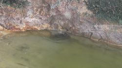 TORAGET 熱泉、 噴泉湖綠湖 7 印尼-萬鴉老的來源