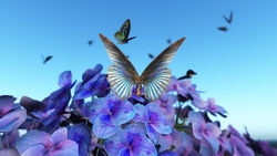 Image CG Butterfly