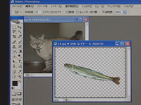 Photoshop CS2 使用课程照片复合 1