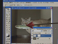 2-圖層蒙版 Photoshop CS2 使用課程照片的合成及應用