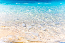 沖縄本島/大宜味のビーチ 218C6468