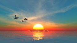 CG sea pictures, sunset and migratory birds