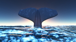 圖像 CG 鯨魚