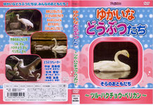 Yukaina their animal-cranes, swans, pelicans