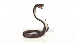 Image CG snake Snake