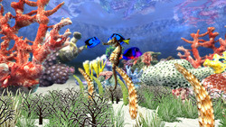 Image CG seahorse
