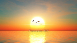 CG 海圖片、 日落和遷徙的鳥