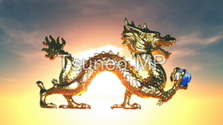 Web dragons and Dragon