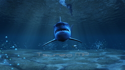 Image CG sharks