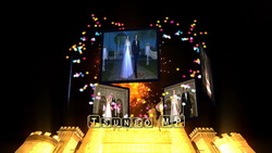 CG 视频婚礼 &amp;amp; 新娘