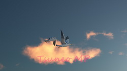 Image CG seagulls