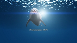 图像 CG 海豚
