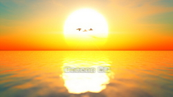 CG 海图片、 日落和迁徙的鸟