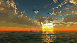 CG 海圖片、 日落和遷徙的鳥